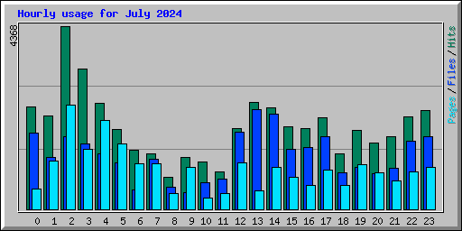 Hourly usage for July 2024