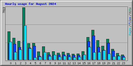 Hourly usage for August 2024