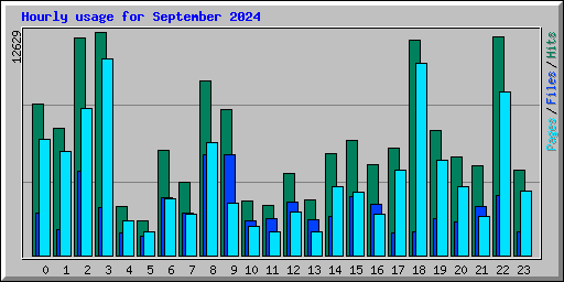 Hourly usage for September 2024